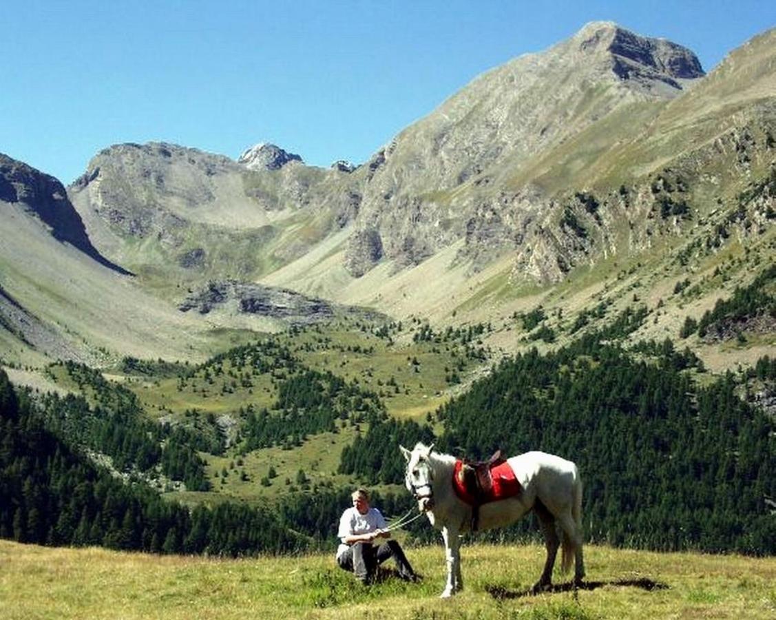 Chalet Maison Caille Embrun